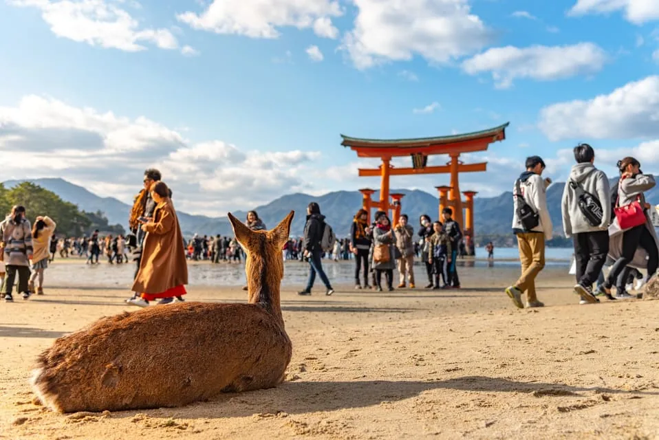 Hiroshima and Miyajima day trip